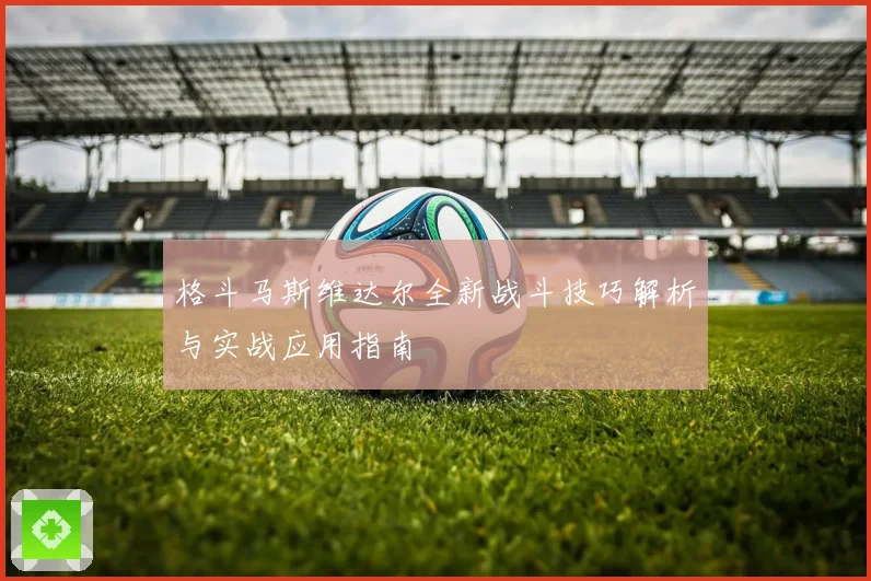 格斗马斯维达尔全新战斗技巧解析与实战应用指南