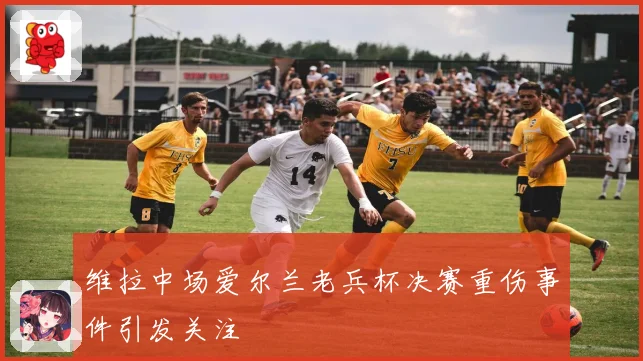 维拉中场爱尔兰老兵杯决赛重伤事件引发关注